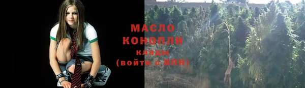 ГАЛЛЮЦИНОГЕННЫЕ ГРИБЫ Алзамай